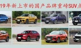 国产精品2019,匠心独运，品质卓越的年度盘点