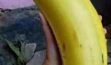 大香蕉国产区,揭秘国产影视产业的魅力与风采