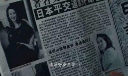 理论片国产,理论视角下的中国发展新篇章