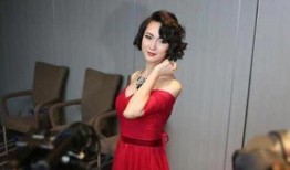 国产刘婷,闪耀舞台的璀璨之星