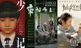 理论片国产,理论视角下的中国发展新篇章