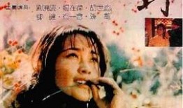 国产对白乱在线观看,笑料百出，方言魅力尽展