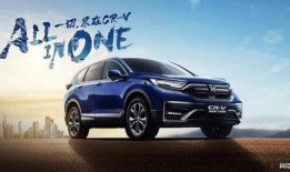 国产v日本,文化交融下的视听盛宴